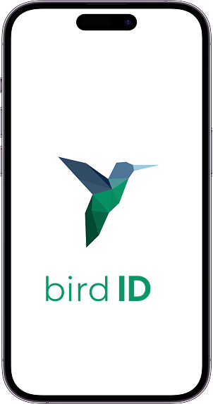 Tela de um celular ilustrando o certificado digital Bird Id, que é emitido online e instalado diretamente no celular da pessoa.